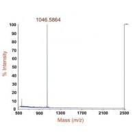 蛋白質分子量測定_質譜分析_百泰派克生物