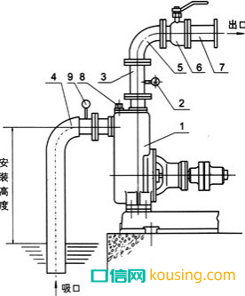 圖片27